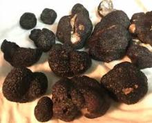 Truffles