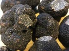 Fresh Black Winter  Truffles 