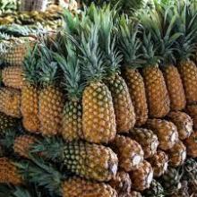 Pineapples