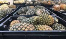 Fresh Pineapples