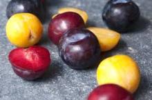 Fresh Plum Fruits