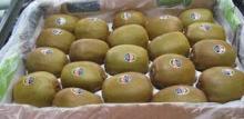 Fresh Green Kiwi Fruit