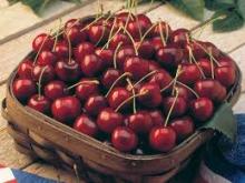 Fresh Cherries