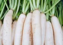 Radish