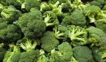 Fresh Broccoli