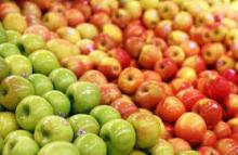 Fresh Apples ( Fuji, Gala, Red, Golden)