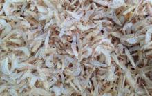 Good quality dried baby shrimp