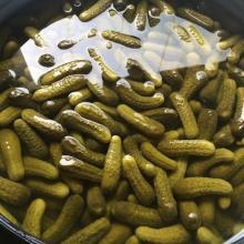 Pickled Gherkins 3-6 cm in acetic acid.