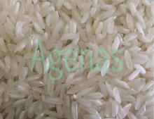 RICE IN VIETNAM