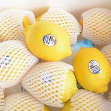 Quality Fresh Yellow Lemon