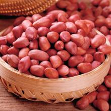  Peanuts ,  Raw   Peanuts , Roasted  Peanuts 