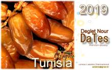 Deglet Nour dates of Tunisia Premium Quality