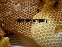 100% pure honey