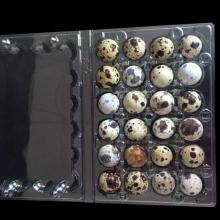 Hot Sale High quality Clear PET  Quail  Eggs & Packaging Tray / Box / Carton