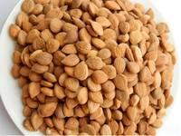 100% Organic Raw Apricot Kernels For Health Food or Medicine