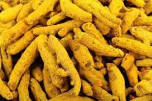  Turmeric   plant  and powder