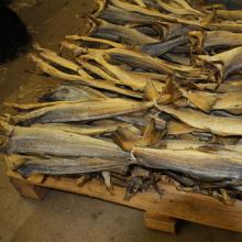 Tusk Dry Stock Fish Cod / dried salted cod fish