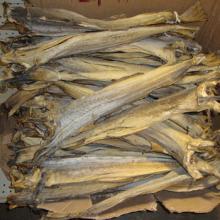 standard quality 680 tons Dry Stock fish for sale