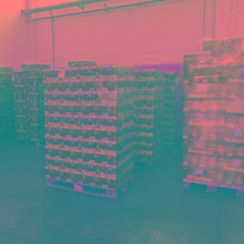 Heineken Beer for Export from Holland