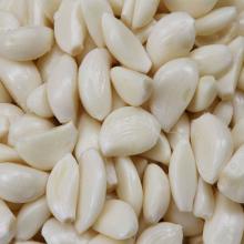 Where to order High Quality Fresh Peeled Garlic ,Peeled garlic Cloves
