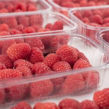 Whole Frozen Fresh Strawberry/Frozen Strawberry/Raspberry, Strawberry, Blueberry