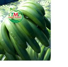 Fresh  Cavendish   Banana 