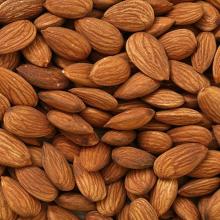 ALMOND NUTS FOR SALE