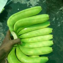 DRIED BANANA WITH COMPETITIVE PRICE AND HIGH QUALITY