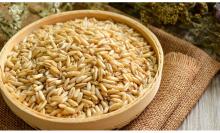 Oats Seeds / Grains /Raw / Whole/for sell/kernels/ flakes