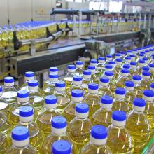 Sunflower oil