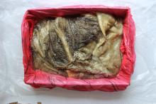 Beef tripe raw