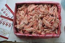 Turkey wing tips / Frozen turkey tips / turkey wing