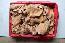 Pork ear flaps
