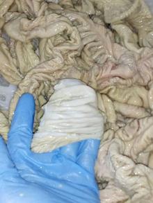Pork Casing - Chitterling