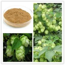 Hops Extract Xanthohumol