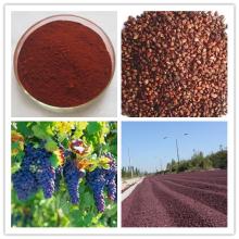 Grape seed extract Proanthocyanidin