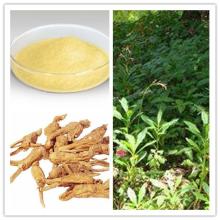 Panax Ginseng Extract Ginsenoside