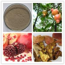 Pomegranate Peel Extract Ellagic Acid