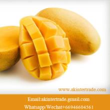  Frozen   Mango   Fruit  Thailand Pulp/Chunk/Dice/ Slice