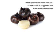IQF Frozen Water Chestnuts Slice/Whole in Bulk From Thailand