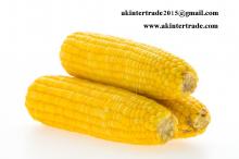 IQF Frozen Sweet Yellow Corn from Thailand