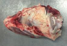 Beef Shin Shank