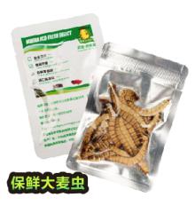 Eco Fresh Superworm For Arowana/Reptile/Bird