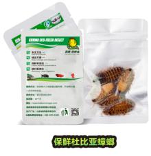 Eco Fresh Dubia cockroach Feed For Fish / Reptile 