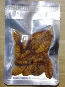 Eco Fresh Silkworm Feed For Koi/Reptile
