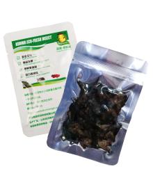 Eco Fresh Cricket Reptile/Bird Feed
