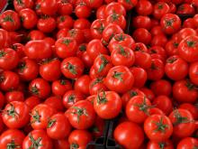 Fresh Round Quality  Iron   Red  Tomatoes For Sale....