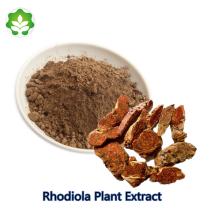 rhodiola roanensis extract sedum roanense extract regulating metabolism