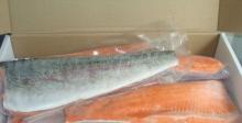 Atlantic Salmon Fillets