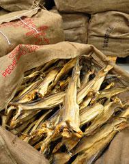 Dried Stock Fish From Norway///